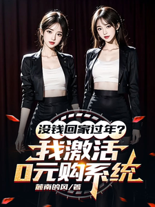 已完结小说《没钱回家过年？我激活0元购系统》在线章节阅读