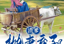 宋晚珍韩争小说渣爹抛妻弃子?我们吃肉你别馋在线阅读章节-艾米文学