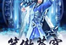 已完结小说《笑傲苍穹》在线章节阅读-艾米文学