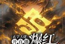 虞初见孟白首小说玄学大佬开直播,爆红阴阳两界在线阅读章节-艾米文学