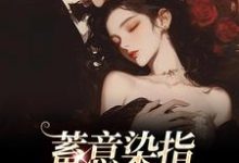 已完结小说《蓄意染指:大佬病态缠欢》在线章节阅读-艾米文学