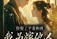 《你娶了平妻和离,我另嫁他人拦什么》叶南星沈澈完整版小说免费阅读-艾米文学