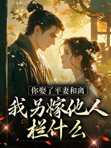 《你娶了平妻和离，我另嫁他人拦什么》叶南星沈澈完整版小说免费阅读
