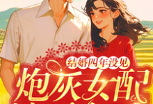 完结版《结婚四年没见,炮灰女配她不离了》在线免费阅读-艾米文学