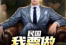 已完结小说《民国:我要做乱世枭雄》在线章节阅读-艾米文学