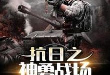 抗日之神勇战场李云小说在线章节目录阅读最新章节-艾米文学