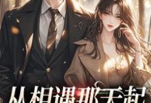 从相遇那天起,就注定解不开小说无弹窗阅读的网站推荐-艾米文学