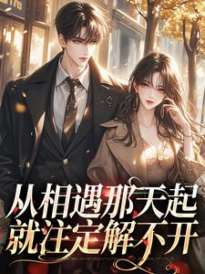 从相遇那天起，就注定解不开小说无弹窗阅读的网站推荐