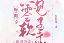 一睁眼穿六零软包子手撕恶毒婆家这本小说完结了吗？免费查看最新章节-艾米文学