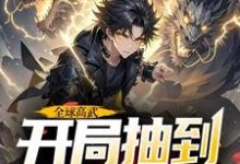 全球高武,开局抽到荒古圣体小说的无弹窗阅读体验,寻找免费阅读网站-艾米文学