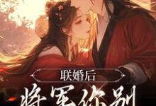 联婚后,将军你别太心动小说的免费阅读版本在哪里可以找到?-艾米文学