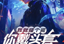 我就碰个瓷,你戴头套什么意思?免费阅读,我就碰个瓷,你戴头套什么意思?章节在线阅读-艾米文学