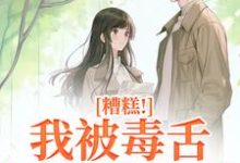 糟糕!我被毒舌霸总缠上了迟笙沈京洲小说在线章节免费阅读-艾米文学