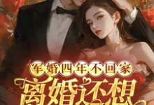 顾衍掣盛知夏小说完整版《军婚四年不回家,离婚还想不离床》免费阅读-艾米文学