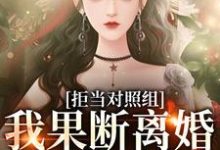拒当对照组,我果断离婚逃离渣夫小说的免费电子版在哪里可以下载或阅读?-艾米文学