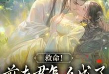 爱你太苦，这辈子打死我都不嫁了最新章节，爱你太苦，这辈子打死我都不嫁了免费阅读-艾米文学