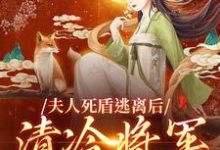 夫人死盾逃离后，清冷将军发了疯宋妙筝贺兰钰小说在线章节目录阅读最新章节-艾米文学