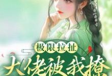 小说《极限拉扯!大佬被我撩得脸红心跳》章节免费阅读-艾米文学