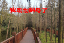 70穿书,我废物翻身了沈知意宋鹤年小说完结版章节在线阅读-艾米文学