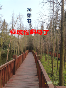 70穿书，我废物翻身了沈知意宋鹤年小说完结版章节在线阅读