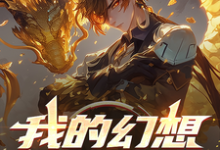 哪里能找到我的幻想竟能成真？小说的全部章节？-艾米文学