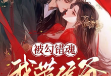 被勾错魂,我带侯爷搬空京城流放小说无弹窗阅读的网站推荐-艾米文学