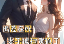 周云辉苏静瑶小说叫什么(出差在外妻子被扫黄抓了完整版免费阅读)-艾米文学