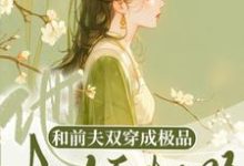 陈汐林复白小说和前夫双穿成极品,他权倾朝野了在线阅读章节-艾米文学