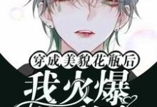 《穿成美貌花瓶后我火爆娱乐圈》俞辉小说免费阅读完整版-艾米文学