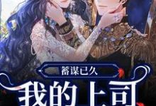完结版《蓄谋已久,我的上司是恋爱脑!》免费阅读-艾米文学