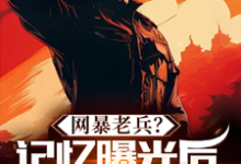 网暴老兵?记忆曝光后全网泪崩!免费阅读,网暴老兵?记忆曝光后全网泪崩!章节目录-艾米文学