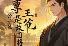 求启禀王爷,公子他是敌国将军小说的全文免费阅读链接-艾米文学