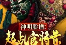 完整版《神明脸谱：起乩官将首，只杀不渡》小说免费阅读-艾米文学