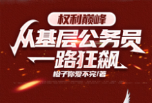 完整版小说《权力巅峰:从基层公务员一路狂飙》免费阅读-艾米文学