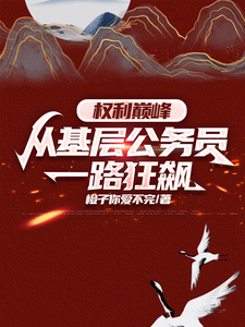 完整版小说《权力巅峰：从基层公务员一路狂飙》免费阅读