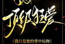 顶级狂爱:我只是他的掌中玩物小说免费资源,顶级狂爱:我只是他的掌中玩物在线阅读-艾米文学