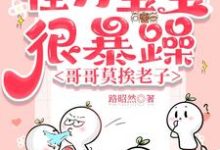 怪力宝宝很暴躁,哥哥莫挨老子洛言柒七七在线章节免费阅读-艾米文学