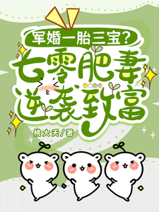 军婚一胎三宝？七零肥妻逆袭致富免费阅读，军婚一胎三宝？七零肥妻逆袭致富章节目录