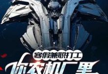 《寒假兼职打工,你农机厂里开出空天航母?》小说大结局免费试读 季成小说-艾米文学