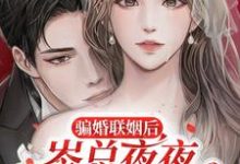 完结版《骗婚联姻后,岑总夜夜诱哄心尖宠》章节阅读-艾米文学