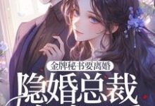 小说《金牌秘书要离婚,隐婚总裁全球示爱!》章节免费阅读-艾米文学
