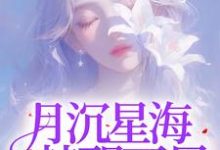 月沉星海，梦醒不见最新章节，月沉星海，梦醒不见免费阅读-艾米文学