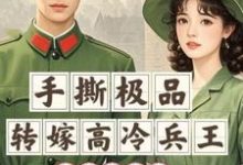 末世穿七零：手撕极品转嫁兵王夏姝宁卓知衡小说大结局免费试读-艾米文学