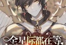 沈辞小说完整版《全星际都在等小可爱登基》免费阅读-艾米文学