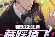 波风千叶漩涡鸣人小说完整版《火影：杀团藏踩猿飞，我无敌了》免费阅读-艾米文学