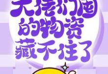 抢穿末日:大佬们囤的物资藏不住了许安小说免费阅读-艾米文学