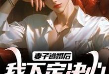 妻子逃婚后，我下定决心选了她叶陵苏颜，妻子逃婚后，我下定决心选了她完整版最新章节-艾米文学
