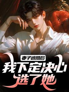 妻子逃婚后，我下定决心选了她叶陵苏颜，妻子逃婚后，我下定决心选了她完整版最新章节