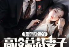 完结版《生命最后三年，高冷总裁妻子疯狂报复我！》章节目录在线阅读-艾米文学