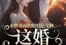 《未曾谋面的媳妇是女神，这婚不离了》全集免费在线阅读（顾衍掣盛知夏）-艾米文学